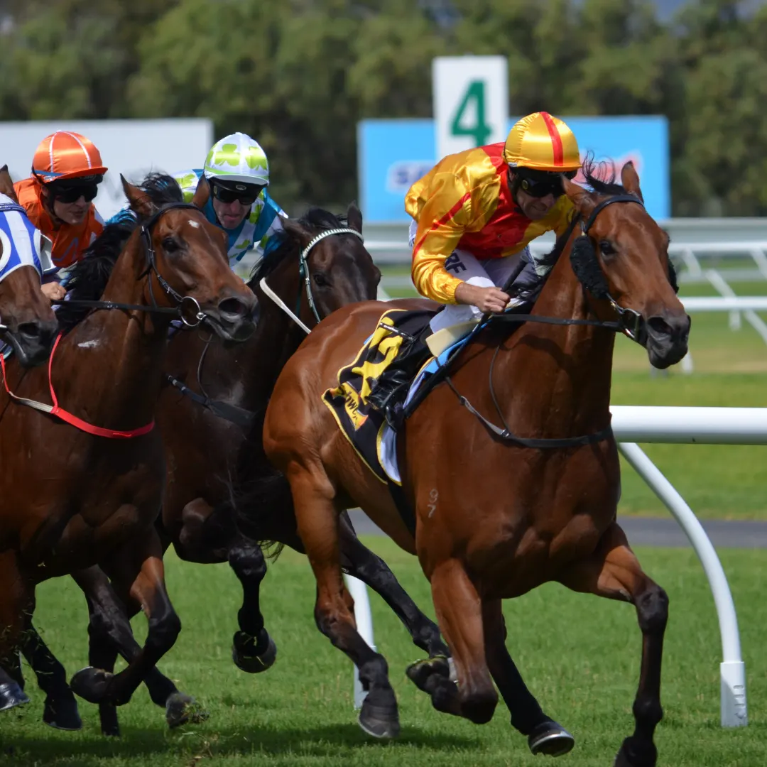 NeuroFlex Trials New Safety Tech In Equestrian Sports